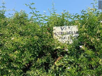 ...di via Morelli E Silvati